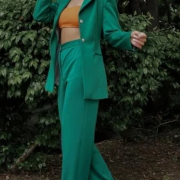 Gorgeous green dress pant from Zara - Size M - Picture 1 of 3